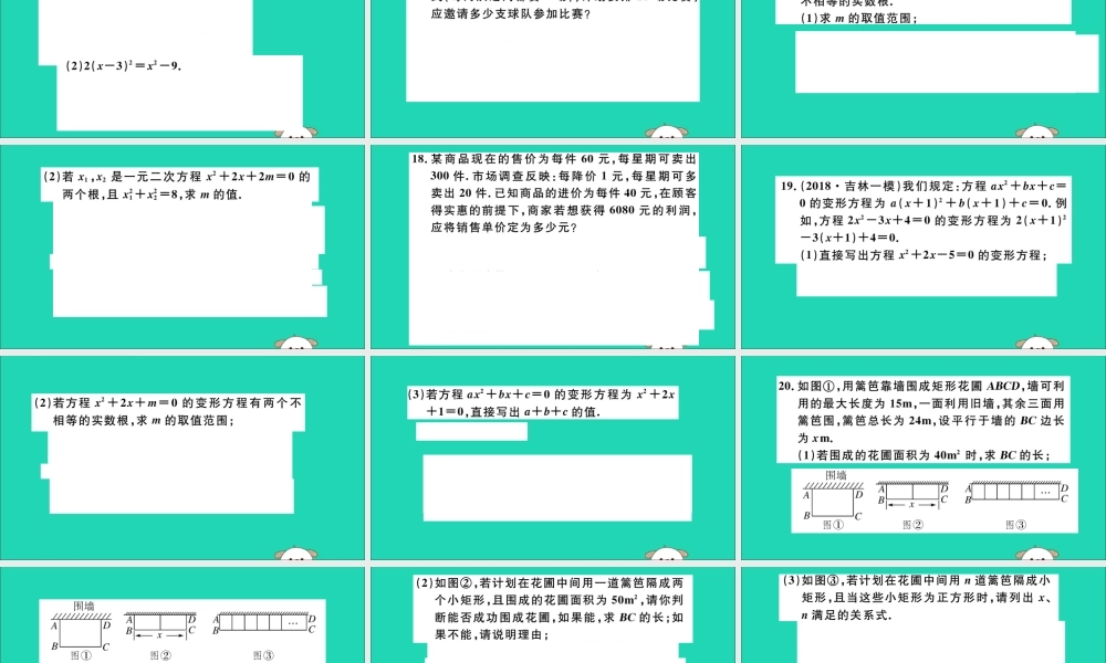 (湖北专用)九年级数学下册 专项训练一 一元二次方程习题讲评课件 (新版)新人教版 课件