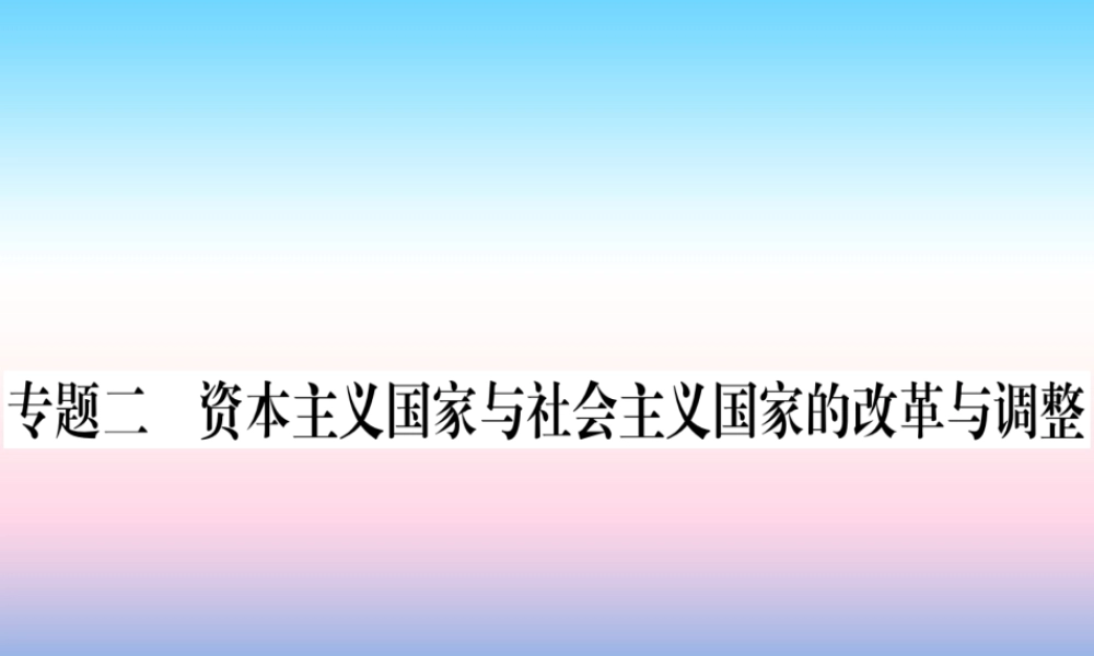 九年级历史下册 期末专题复习 专题二 资本主义国家与社会主义国家的改革与调整习题课件 新人教版 课件