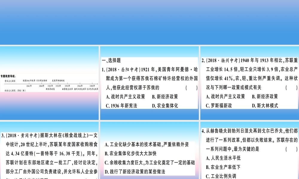 九年级历史下册 期末专题复习 专题二 资本主义国家与社会主义国家的改革与调整习题课件 新人教版 课件