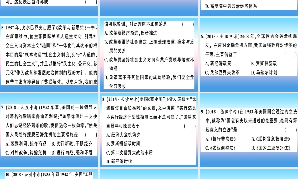 九年级历史下册 期末专题复习 专题二 资本主义国家与社会主义国家的改革与调整习题课件 新人教版 课件