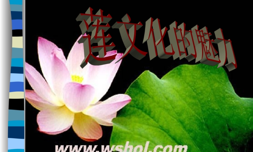 (莲文化的魅力)课件1 八年级语文上册第五单元(综合性学习莲文化的魅力)课件7套人教版 八年级语文上册第五单元(综合性学习莲文化的魅力)课件7套人教版