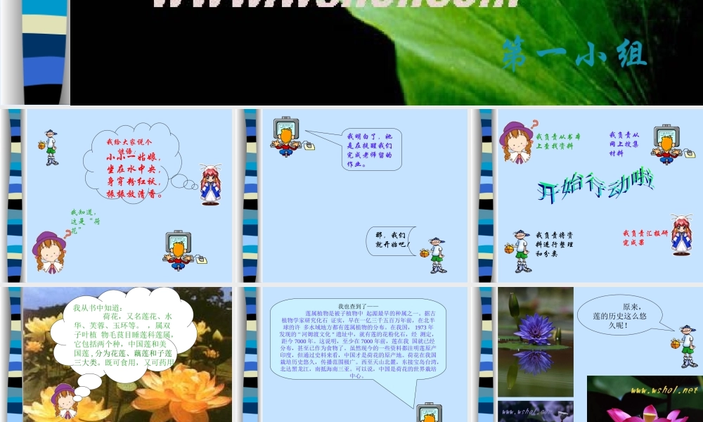 (莲文化的魅力)课件1 八年级语文上册第五单元(综合性学习莲文化的魅力)课件7套人教版 八年级语文上册第五单元(综合性学习莲文化的魅力)课件7套人教版