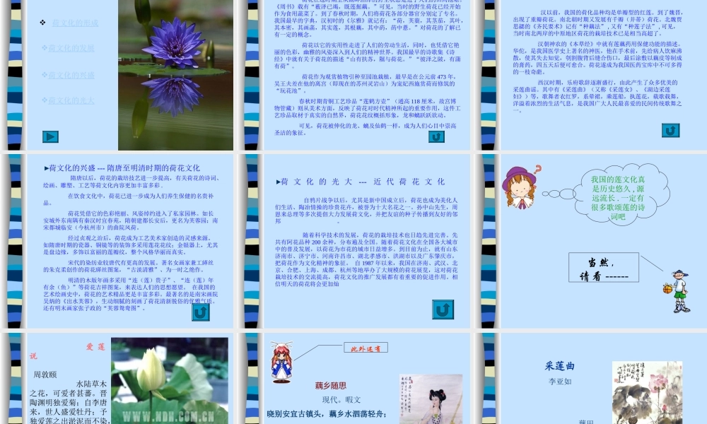 (莲文化的魅力)课件1 八年级语文上册第五单元(综合性学习莲文化的魅力)课件7套人教版 八年级语文上册第五单元(综合性学习莲文化的魅力)课件7套人教版