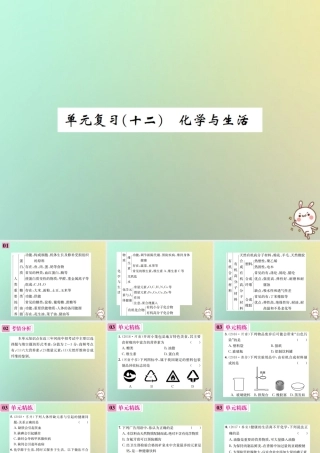 九年级化学下册 第十二单元 化学与生活单元复习(十二)习题课件 (新版)新人教版 课件