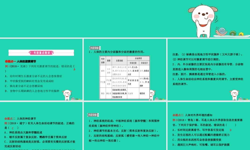 (江西专版)中考生物 第2部分 专题六 人体生命活动的调节复习课件