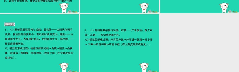 (江西专版)中考生物 第2部分 专题六 人体生命活动的调节复习课件