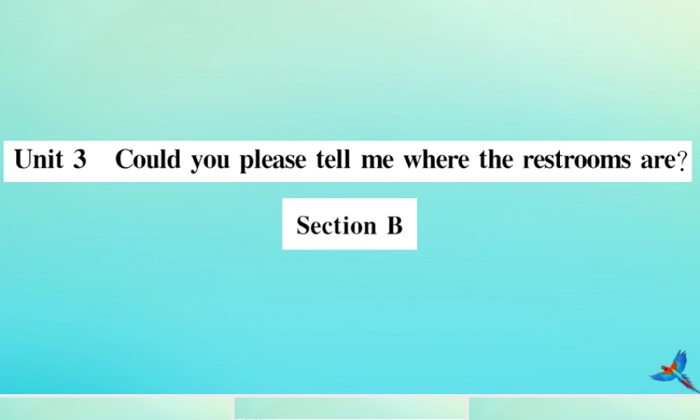 (河北专版)九年级英语全册 Unit 3 Could you please tell me where the restrooms are Section B习题课件 (新版)人教新目标版 课件