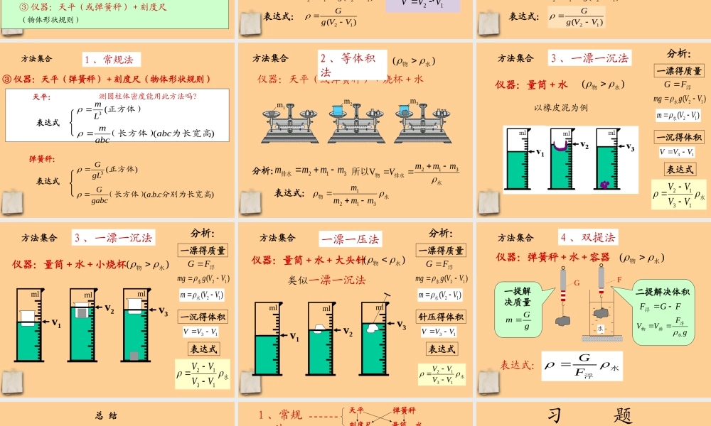 中考物理总复习力学专题-多种方法测密度课件