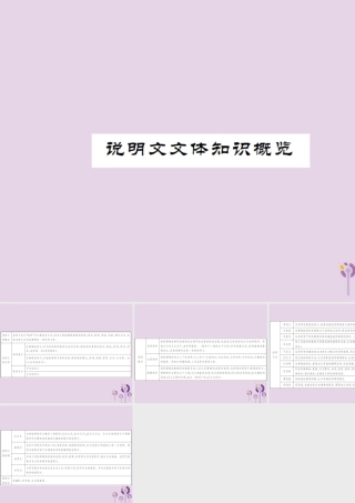 (通用)中考语文总复习 说明文文体知识概览课件