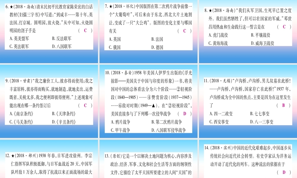 (甘肃专用)中考历史总复习 第二篇 知能综合提升 专题一 侵虐与抗争课件
