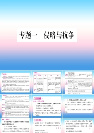 (甘肃专用)中考历史总复习 第二篇 知能综合提升 专题一 侵虐与抗争课件