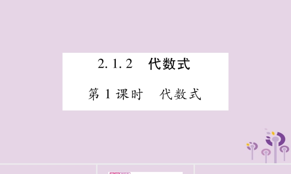 七年级数学上册 第2章 整式加减 2.1 代数式 2.1.2 代数式 第1课时 代数式课件 (新版)沪科版 课件