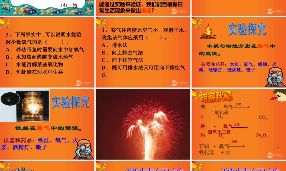 九年级化学上册(性质活泼的氧气)课件2 沪教版 课件