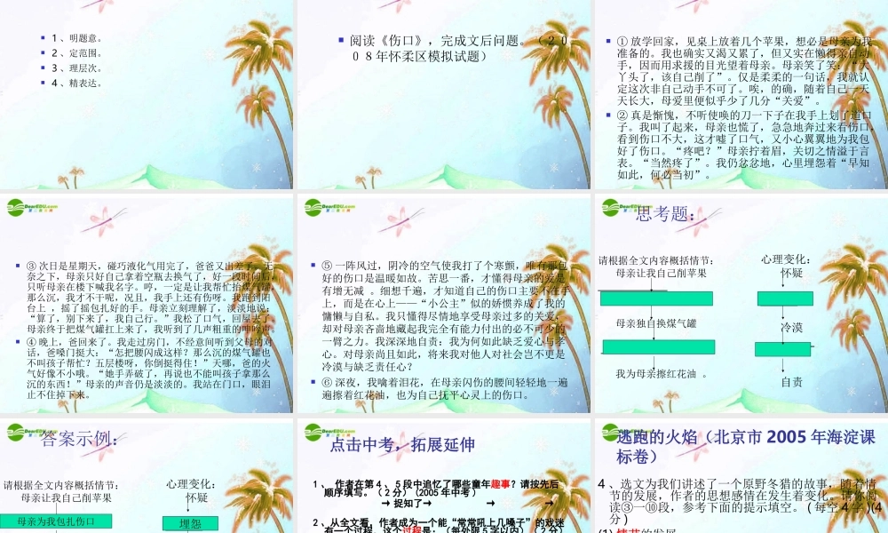 中考语文专题复习课件 概括故事情节 课件