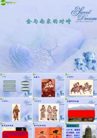 七年级历史上册 金与南宋的对峙课件 人教新课标版 课件