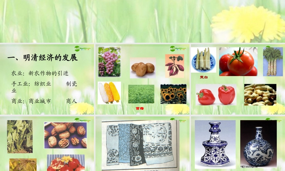 七年级历史下册 明清经济的发展与闭关锁国课件 人教新课标版 课件