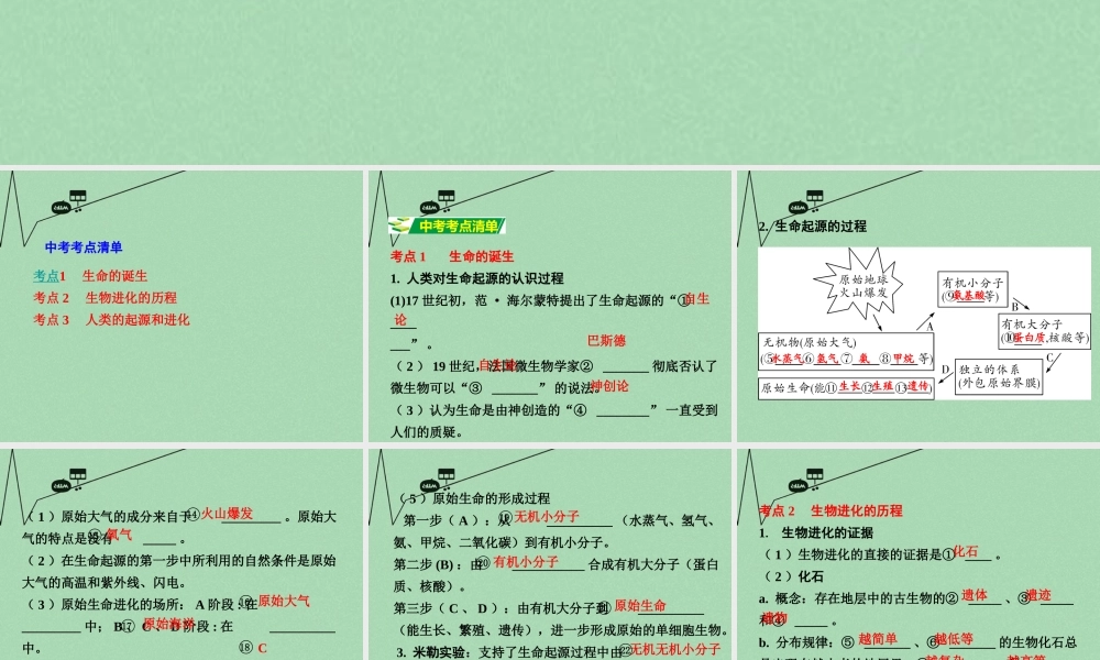 中考生物 第一部分 教材知识梳理 第5单元 第16章 生命起源和生物进化复习课件 苏教版 课件