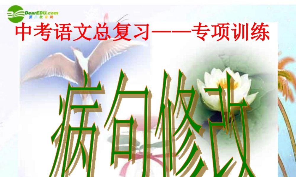 中考语文复习指导课件 中考总复习病句修改 课件