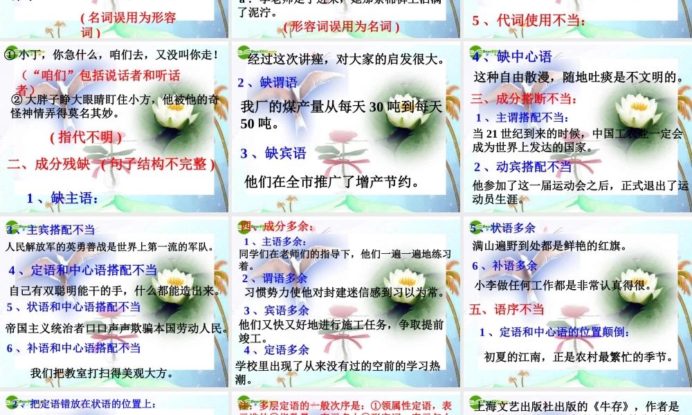 中考语文复习指导课件 中考总复习病句修改 课件