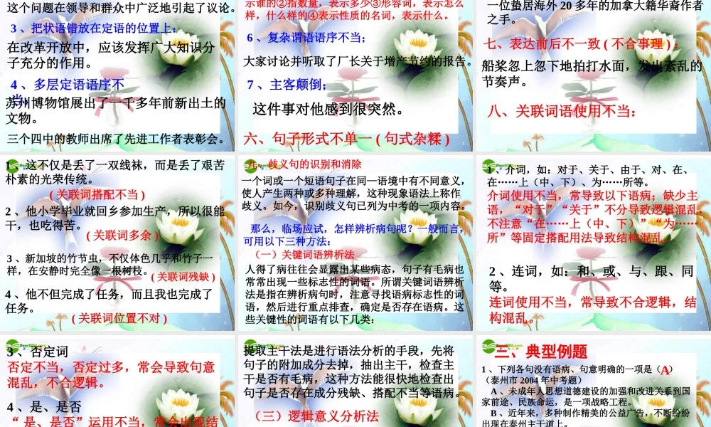 中考语文复习指导课件 中考总复习病句修改 课件