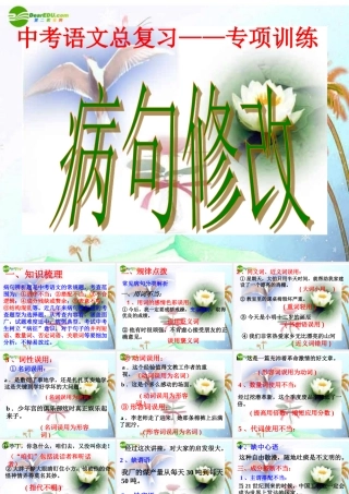 中考语文复习指导课件 中考总复习病句修改 课件