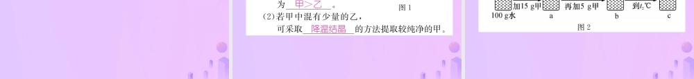 九年级化学下册 第9单元 溶液 课题3 溶液的浓度 第1课时 溶液的溶质质量分数作业课件 (新版)新人教版 课件