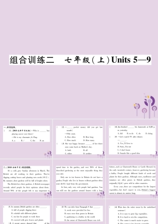 中考英语总复习 第一篇 教材知识梳理篇 组合训练2 七上 Units 5 9(精练)课件