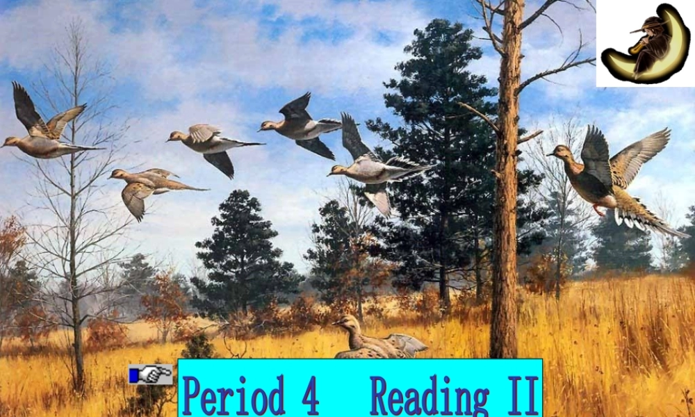 M2 Unit4 readingIIP4 高一英语Unit4全单元课件[整理五个]新课标 人教版