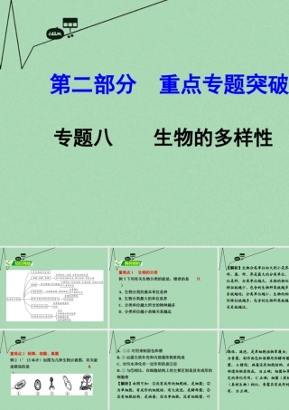 中考生物 第二部分 重点专题突破 专题八 生物的多样性复习课件 苏教版 课件