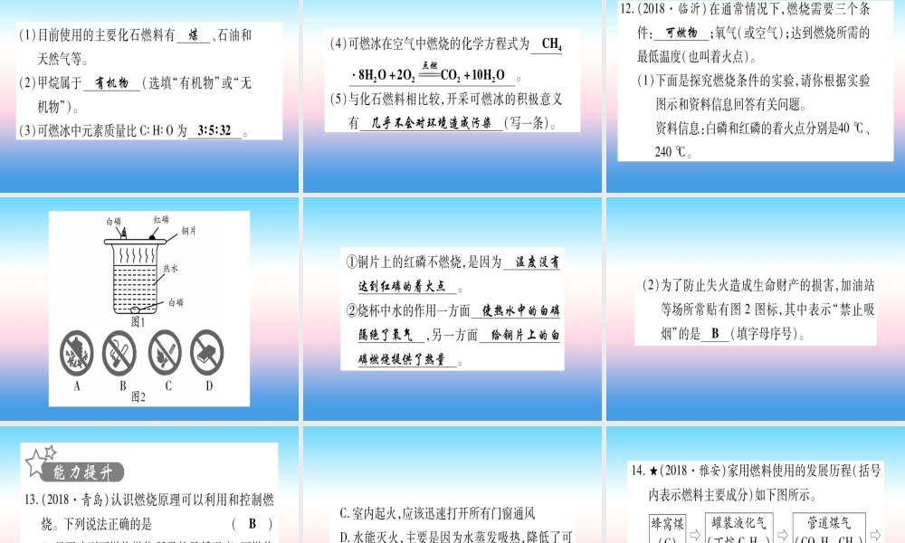 (云南专用)中考化学总复习 第1部分 教材系统复习 九上 第7单元 燃料及其利用(精练)课件