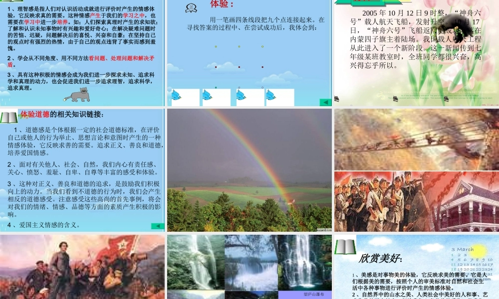 七年级政治下册 缤纷情感课件 教科版 课件