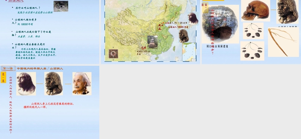 七年级历史上册 (中国境内的早期人类)课件 川教版 课件