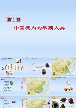 七年级历史上册 (中国境内的早期人类)课件 川教版 课件