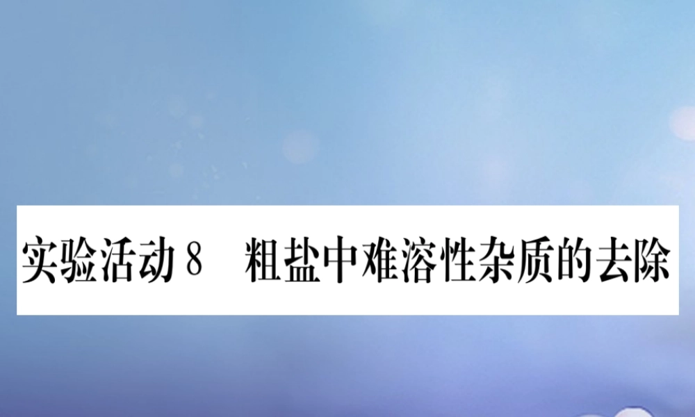 九年级化学下册 第十一单元 盐 化肥 实验活动8 粗盐中难溶性杂质的去除课件 (新版)新人教版 课件