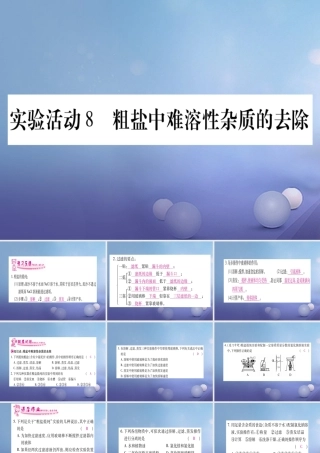 九年级化学下册 第十一单元 盐 化肥 实验活动8 粗盐中难溶性杂质的去除课件 (新版)新人教版 课件