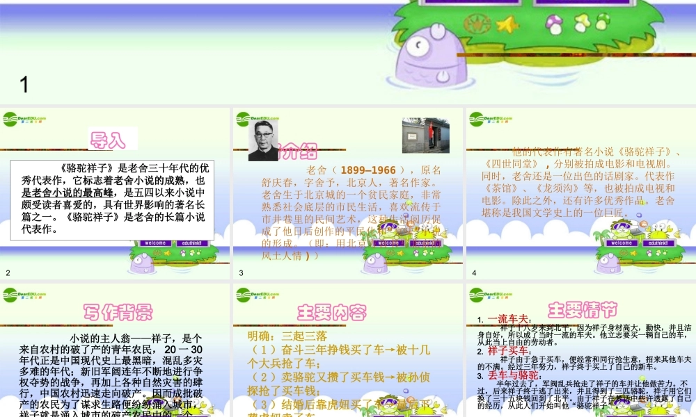 中考语文复习 名著阅读讲座(二) 骆驼祥子课件 苏教版 课件