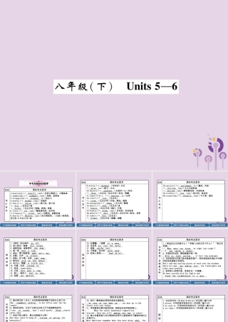 (贵阳专版)中考英语总复习 第1部分 教材知识梳理篇 八下 Units 5 6(精讲)课件