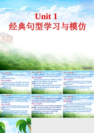 Unit1 经典句型学习与模仿 新课标 人教版 课件