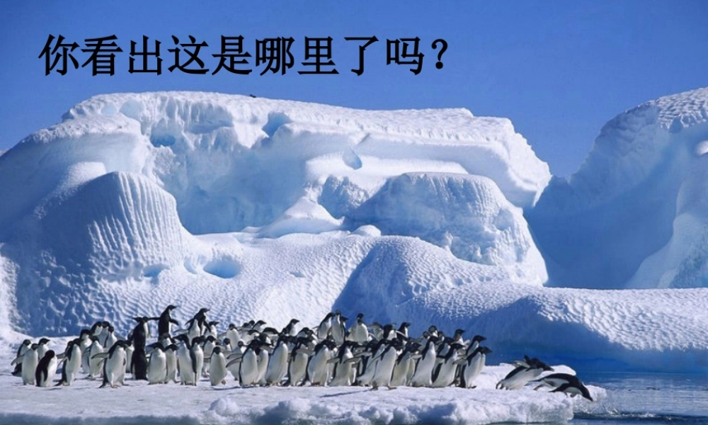 (秋季版)七年级语文下册 第六单元 第21课 伟大的悲剧课件 新人教版 课件