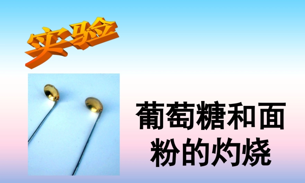 九年级化学上册 第1章 开启化学之门 第2节 化学研究些什么 葡萄糖和面粉的灼烧素材 沪教版 素材