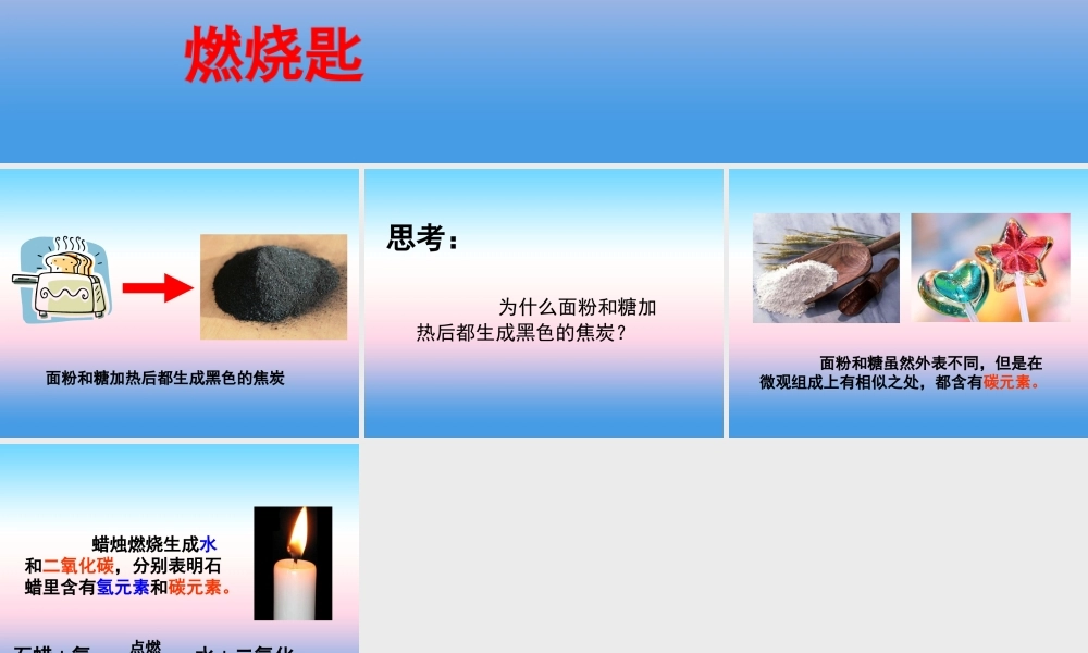 九年级化学上册 第1章 开启化学之门 第2节 化学研究些什么 葡萄糖和面粉的灼烧素材 沪教版 素材