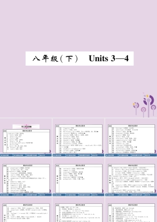 中考英语总复习 第一篇 教材知识梳理篇 八下 Units 3 4(精讲)课件