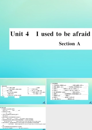 (河南专版)九年级英语全册 Unit 4 I used to be afraid of the dark Section A习题课件 (新版)人教新目标版 课件