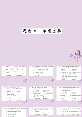 中考英语总复习 第3部分 中考题型攻略篇 题型2 单项选择(精练)课件