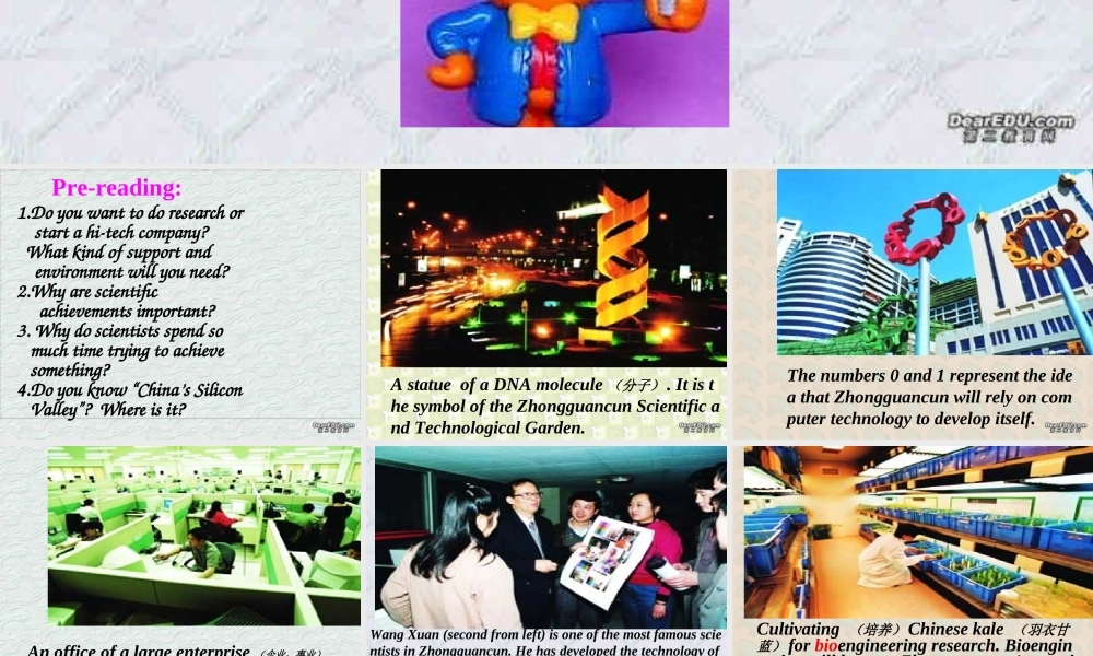 unit 11 reading 高二英语Unit11全套课件 人教版 高二英语Unit11全套课件 人教版