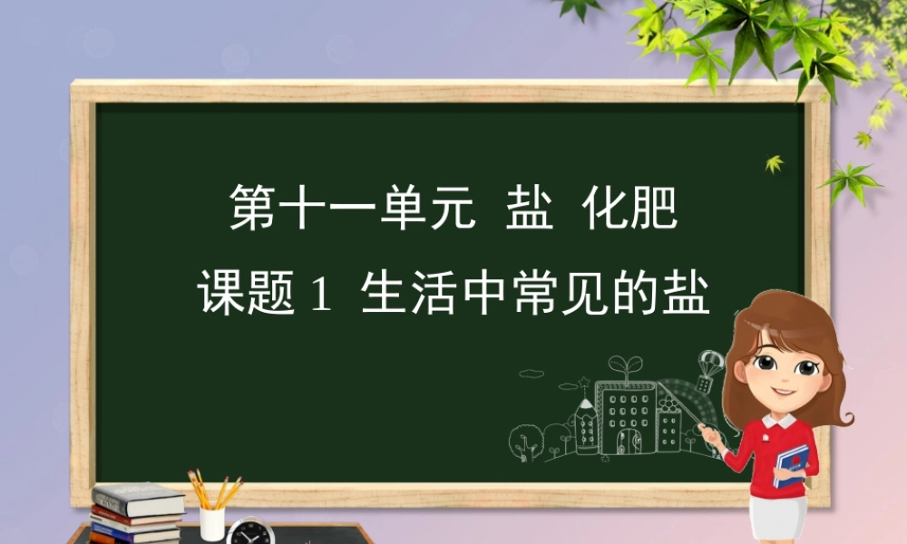 九年级化学 重点题目精讲 第十一单元 盐 化肥课件 (新版)新人教版 课件