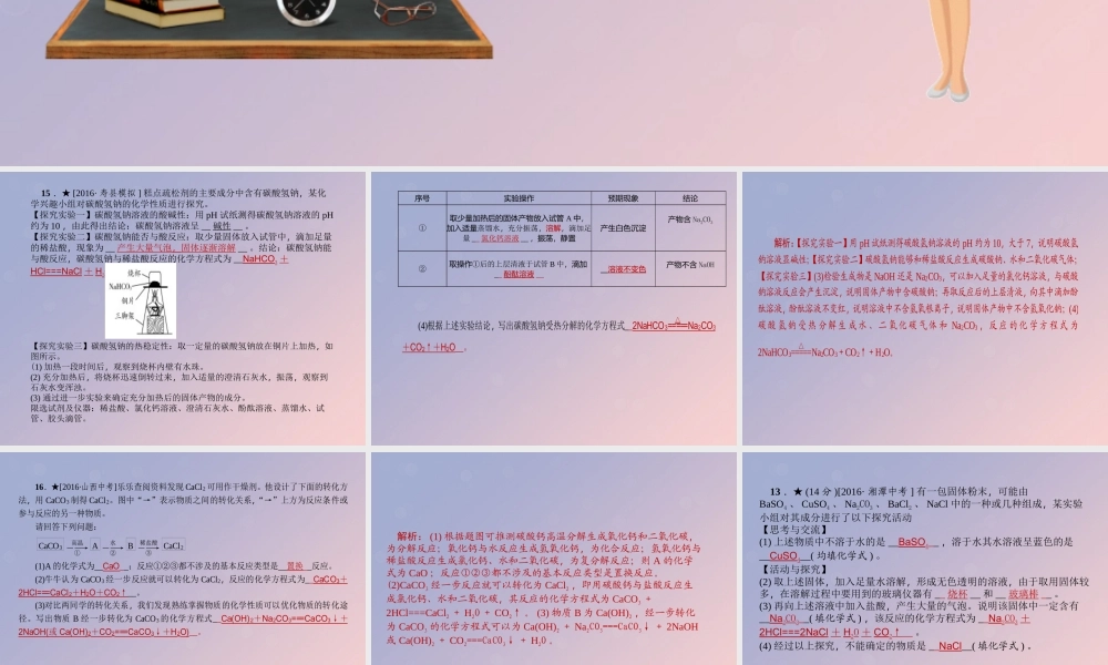 九年级化学 重点题目精讲 第十一单元 盐 化肥课件 (新版)新人教版 课件