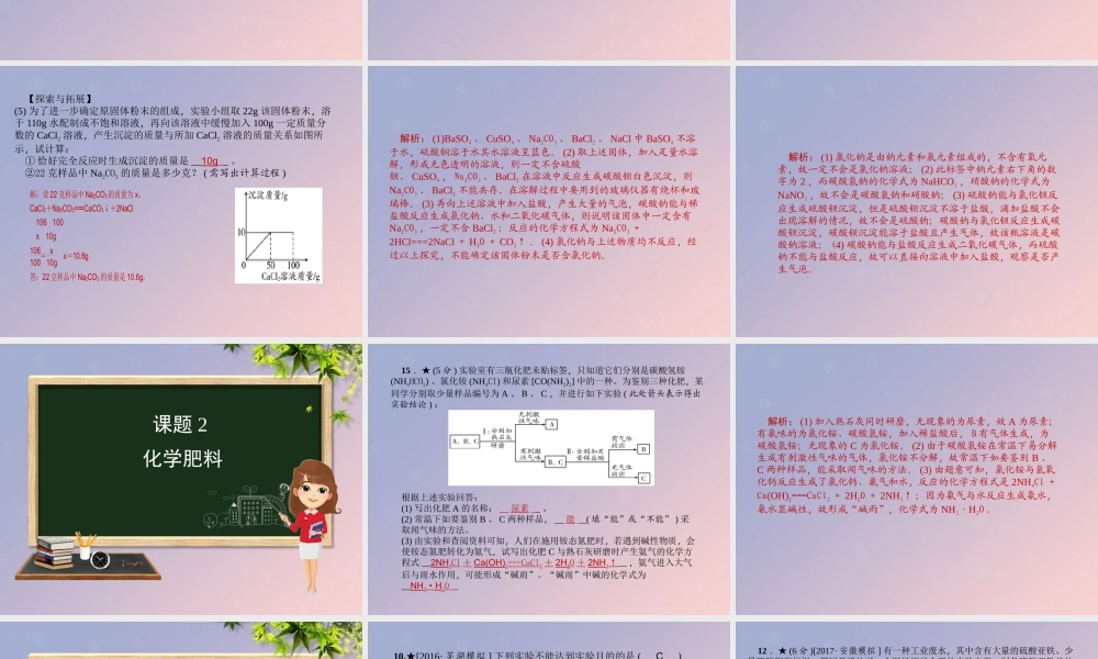 九年级化学 重点题目精讲 第十一单元 盐 化肥课件 (新版)新人教版 课件