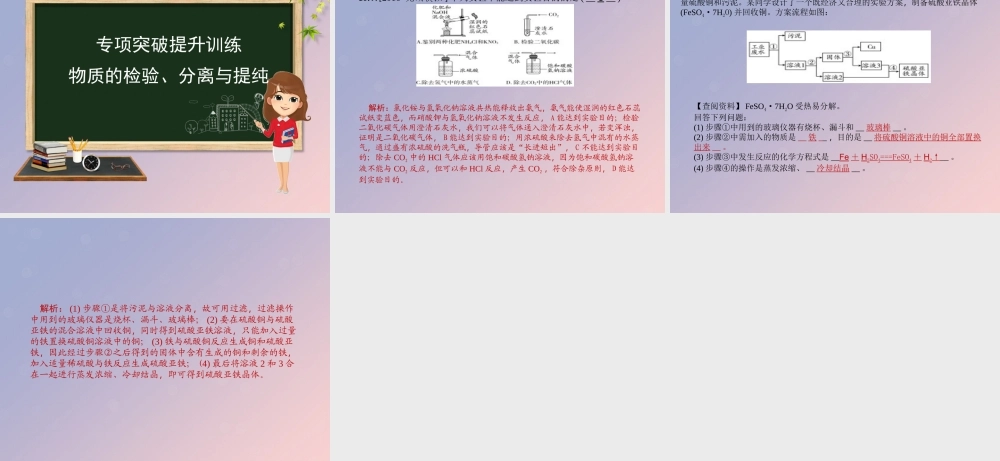 九年级化学 重点题目精讲 第十一单元 盐 化肥课件 (新版)新人教版 课件