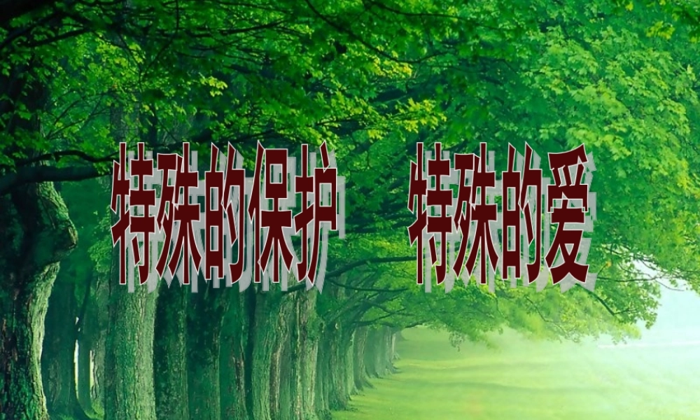 七年级政治上册 8.1(特殊的保护 特殊的爱)课件 人教新课标版 课件